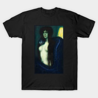 The Sin by Franz Stuck T-Shirt